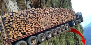 Extreme Dangerous Huge Wood Logging Truck Driving Skill, Amazing Heavy Equipment Operator Truck