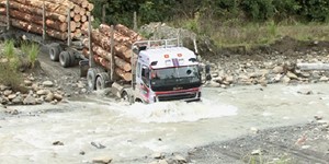 East Coast Forest Industry Gisborne New Zealand