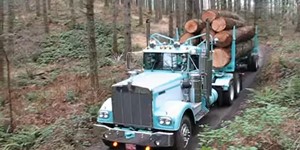 1974 Kenworth  Big James Hauling Big Wood