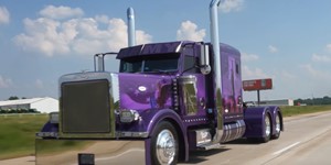 2006 Peterbilt 379